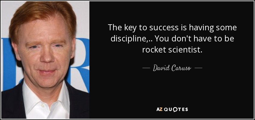 The key to success is having some discipline, .. You don't have to be rocket scientist. - David Caruso