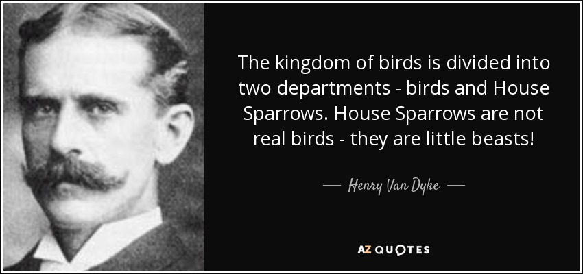 The kingdom of birds is divided into two departments - birds and House Sparrows. House Sparrows are not real birds - they are little beasts! - Henry Van Dyke