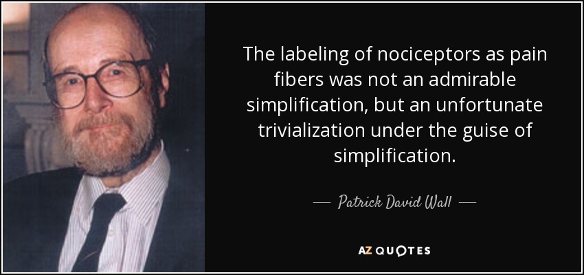 The labeling of nociceptors as pain fibers was not an admirable simplification, but an unfortunate trivialization under the guise of simplification. - Patrick David Wall