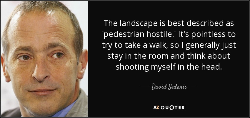 The landscape is best described as 'pedestrian hostile.' It's pointless to try to take a walk, so I generally just stay in the room and think about shooting myself in the head. - David Sedaris