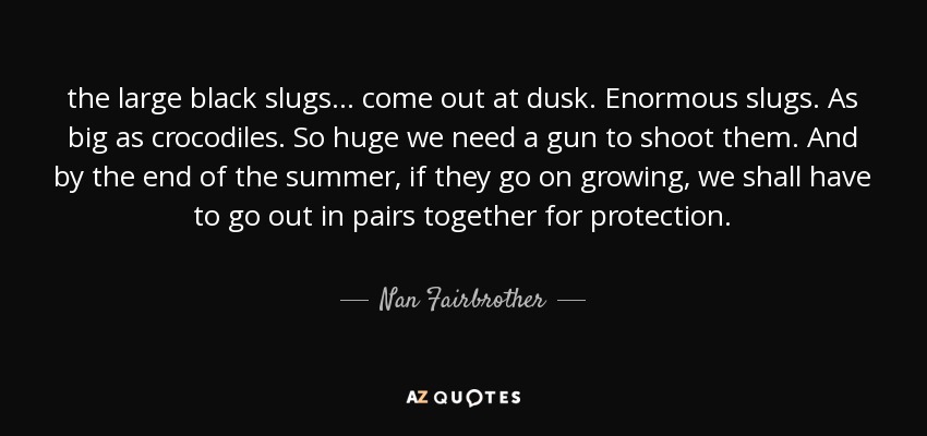 the large black slugs ... come out at dusk. Enormous slugs. As big as crocodiles. So huge we need a gun to shoot them. And by the end of the summer, if they go on growing, we shall have to go out in pairs together for protection. - Nan Fairbrother