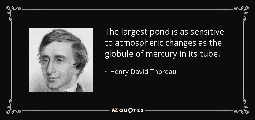 The largest pond is as sensitive to atmospheric changes as the globule of mercury in its tube. - Henry David Thoreau