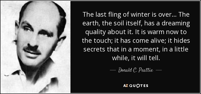 The last fling of winter is over ... The earth, the soil itself, has a dreaming quality about it. It is warm now to the touch; it has come alive; it hides secrets that in a moment, in a little while, it will tell. - Donald C. Peattie