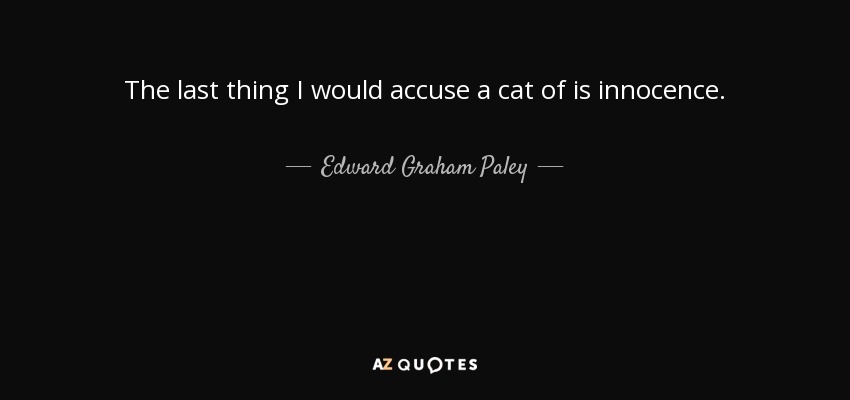 The last thing I would accuse a cat of is innocence. - Edward Graham Paley