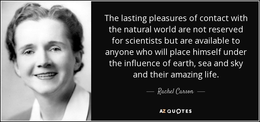 The lasting pleasures of contact with the natural world are not reserved for scientists but are available to anyone who will place himself under the influence of earth, sea and sky and their amazing life. - Rachel Carson