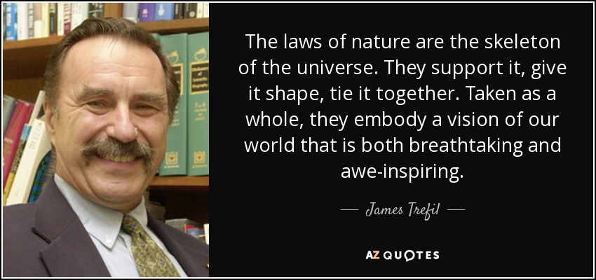 The laws of nature are the skeleton of the universe. They support it, give it shape, tie it together. Taken as a whole, they embody a vision of our world that is both breathtaking and awe-inspiring. - James Trefil