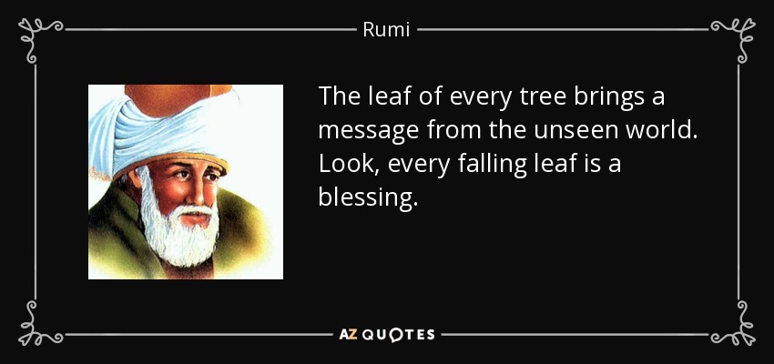 The leaf of every tree brings a message from the unseen world. Look, every falling leaf is a blessing. - Rumi