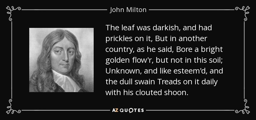 The leaf was darkish, and had prickles on it, But in another country, as he said, Bore a bright golden flow'r, but not in this soil; Unknown, and like esteem'd, and the dull swain Treads on it daily with his clouted shoon. - John Milton