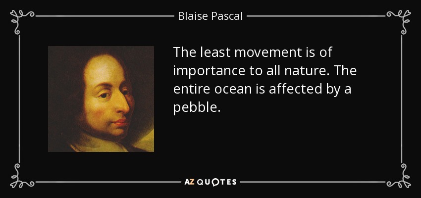 The least movement is of importance to all nature. The entire ocean is affected by a pebble. - Blaise Pascal