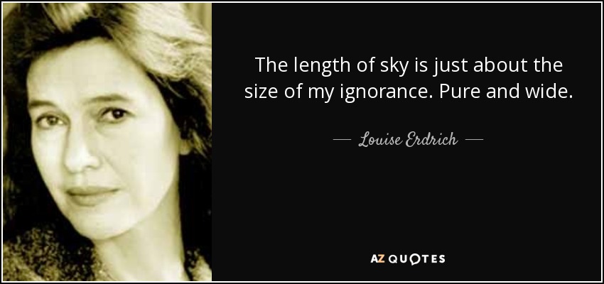 The length of sky is just about the size of my ignorance. Pure and wide. - Louise Erdrich