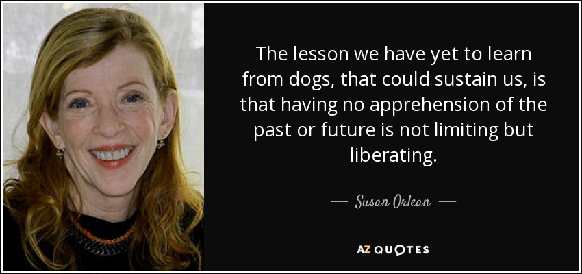The lesson we have yet to learn from dogs, that could sustain us, is that having no apprehension of the past or future is not limiting but liberating. - Susan Orlean