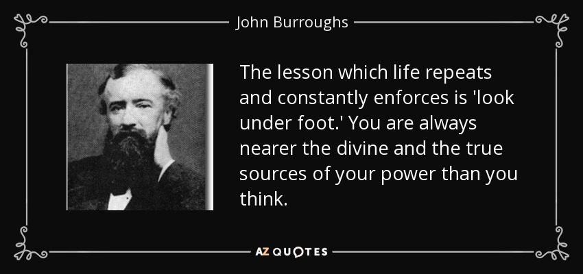 The lesson which life repeats and constantly enforces is 'look under foot.' You are always nearer the divine and the true sources of your power than you think. - John Burroughs