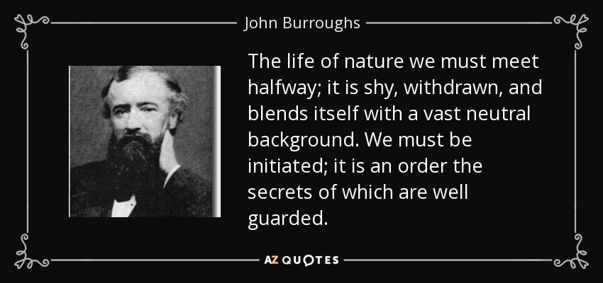 The life of nature we must meet halfway; it is shy, withdrawn, and blends itself with a vast neutral background. We must be initiated; it is an order the secrets of which are well guarded. - John Burroughs
