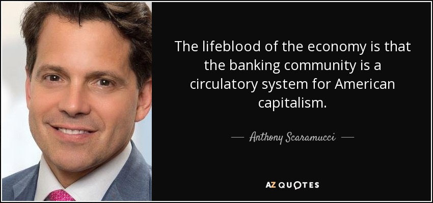 The lifeblood of the economy is that the banking community is a circulatory system for American capitalism. - Anthony Scaramucci