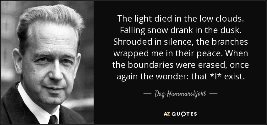 The light died in the low clouds. Falling snow drank in the dusk. Shrouded in silence, the branches wrapped me in their peace. When the boundaries were erased, once again the wonder: that *I* exist. - Dag Hammarskjold