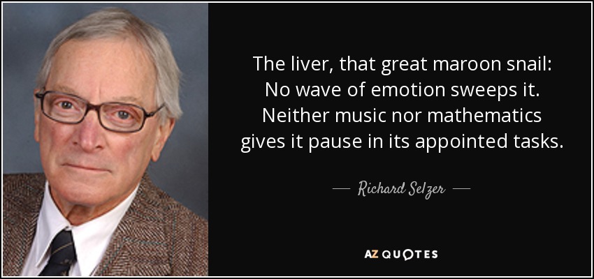 The liver, that great maroon snail: No wave of emotion sweeps it. Neither music nor mathematics gives it pause in its appointed tasks. - Richard Selzer
