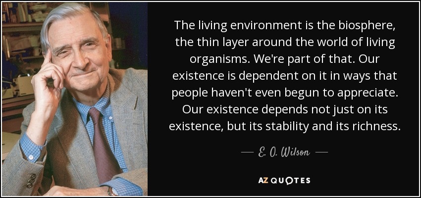 The living environment is the biosphere, the thin layer around the world of living organisms. We're part of that. Our existence is dependent on it in ways that people haven't even begun to appreciate. Our existence depends not just on its existence, but its stability and its richness. - E. O. Wilson