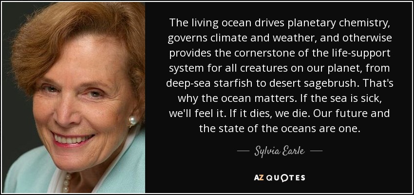 The living ocean drives planetary chemistry, governs climate and weather, and otherwise provides the cornerstone of the life-support system for all creatures on our planet, from deep-sea starfish to desert sagebrush. That's why the ocean matters. If the sea is sick, we'll feel it. If it dies, we die. Our future and the state of the oceans are one. - Sylvia Earle