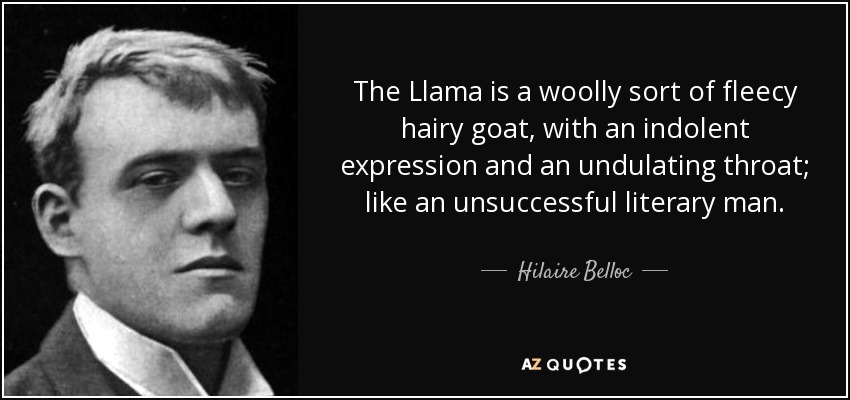The Llama is a woolly sort of fleecy hairy goat, with an indolent expression and an undulating throat; like an unsuccessful literary man. - Hilaire Belloc