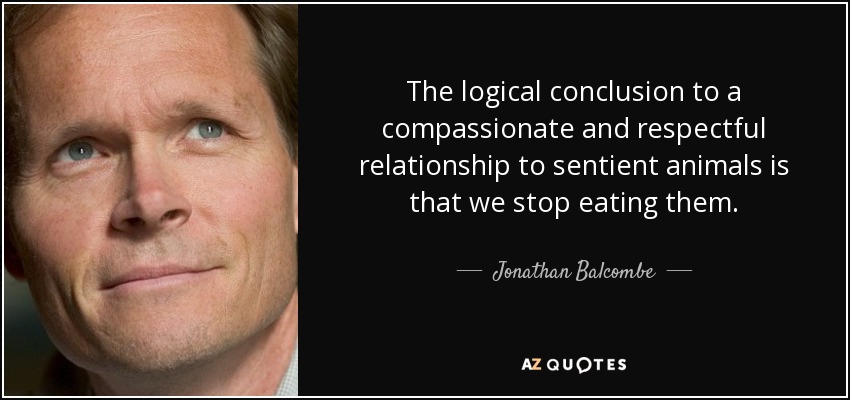 The logical conclusion to a compassionate and respectful relationship to sentient animals is that we stop eating them. - Jonathan Balcombe