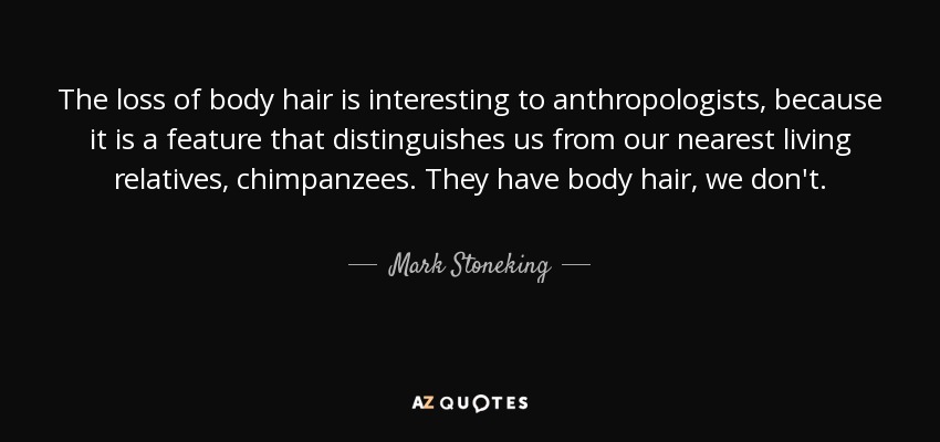 The loss of body hair is interesting to anthropologists, because it is a feature that distinguishes us from our nearest living relatives, chimpanzees. They have body hair, we don't. - Mark Stoneking