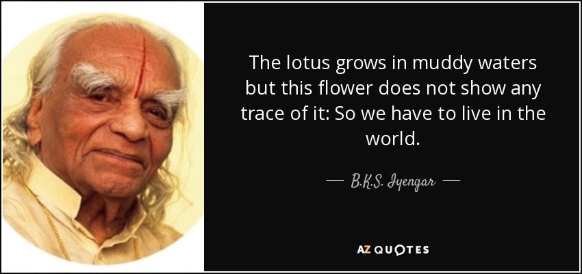 The lotus grows in muddy waters but this flower does not show any trace of it: So we have to live in the world. - B.K.S. Iyengar