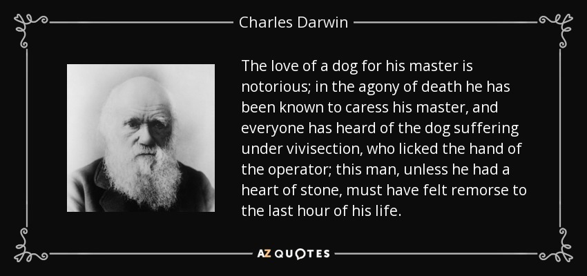 The love of a dog for his master is notorious; in the agony of death he has been known to caress his master, and everyone has heard of the dog suffering under vivisection, who licked the hand of the operator; this man, unless he had a heart of stone, must have felt remorse to the last hour of his life. - Charles Darwin