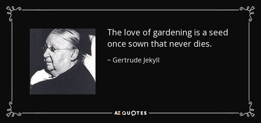 The love of gardening is a seed once sown that never dies. - Gertrude Jekyll