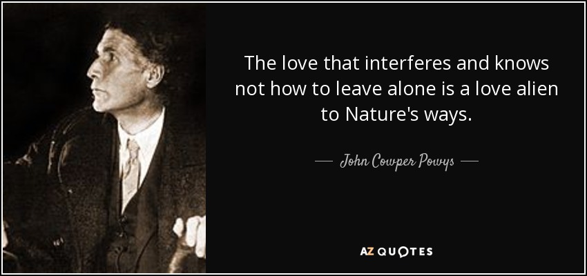 The love that interferes and knows not how to leave alone is a love alien to Nature's ways. - John Cowper Powys