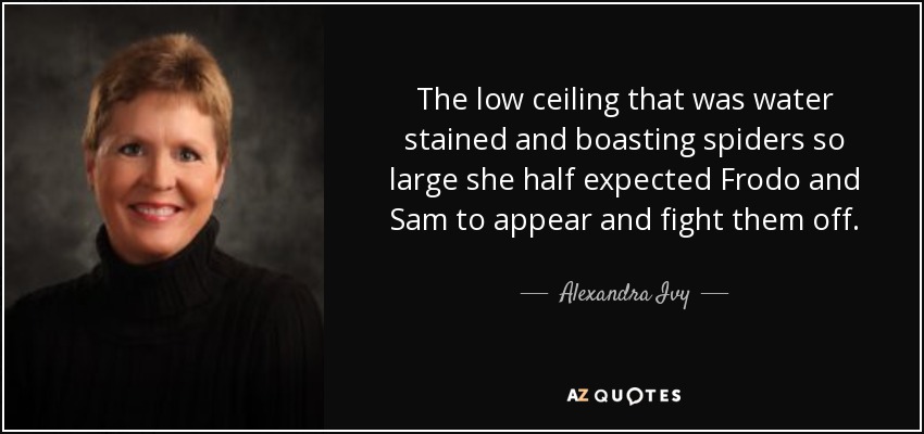 The low ceiling that was water stained and boasting spiders so large she half expected Frodo and Sam to appear and fight them off. - Alexandra Ivy