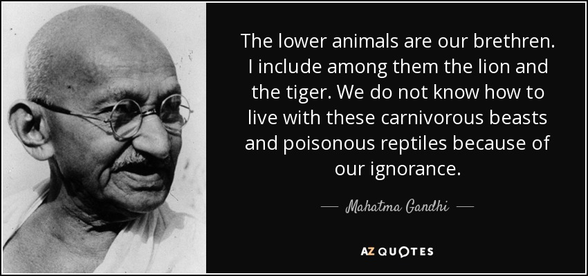 The lower animals are our brethren. I include among them the lion and the tiger. We do not know how to live with these carnivorous beasts and poisonous reptiles because of our ignorance. - Mahatma Gandhi