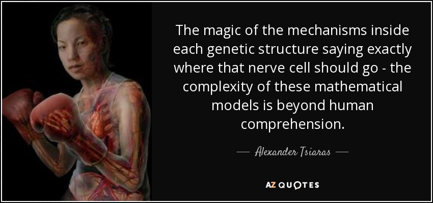 The magic of the mechanisms inside each genetic structure saying exactly where that nerve cell should go - the complexity of these mathematical models is beyond human comprehension. - Alexander Tsiaras