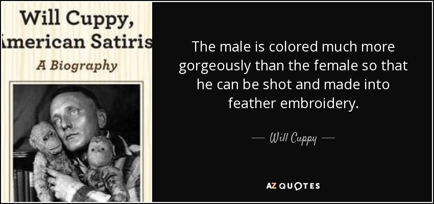 The male is colored much more gorgeously than the female so that he can be shot and made into feather embroidery. - Will Cuppy