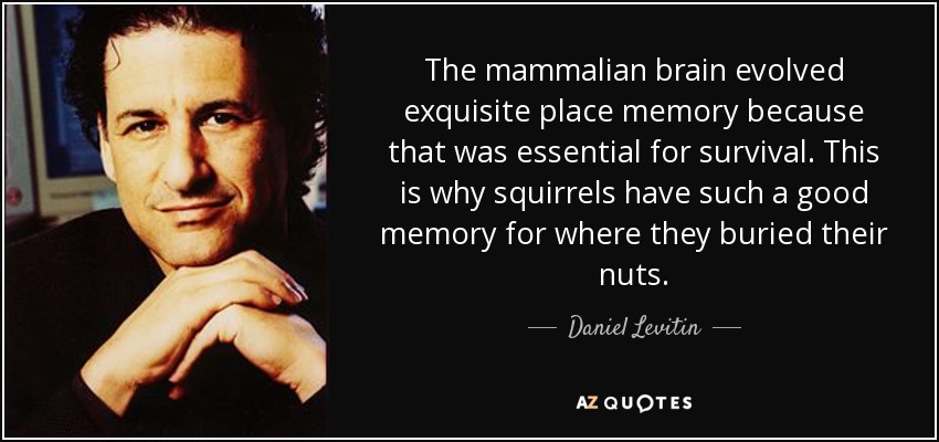 The mammalian brain evolved exquisite place memory because that was essential for survival. This is why squirrels have such a good memory for where they buried their nuts. - Daniel Levitin