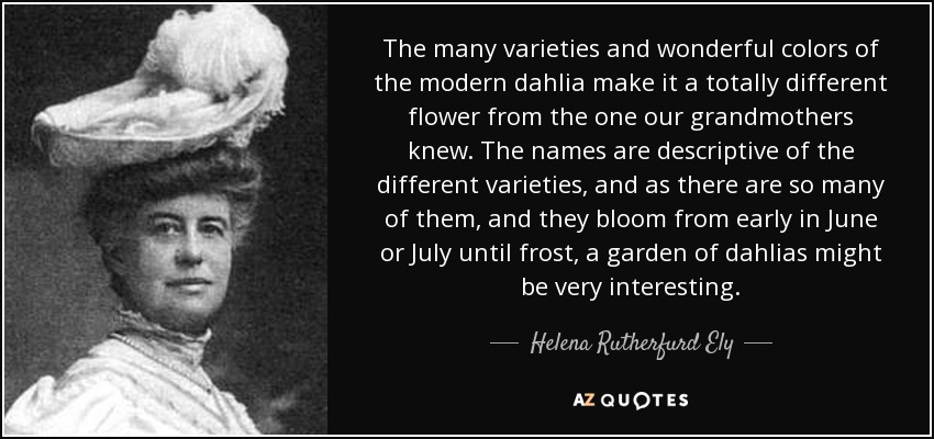 The many varieties and wonderful colors of the modern dahlia make it a totally different flower from the one our grandmothers knew. The names are descriptive of the different varieties, and as there are so many of them, and they bloom from early in June or July until frost, a garden of dahlias might be very interesting. - Helena Rutherfurd Ely