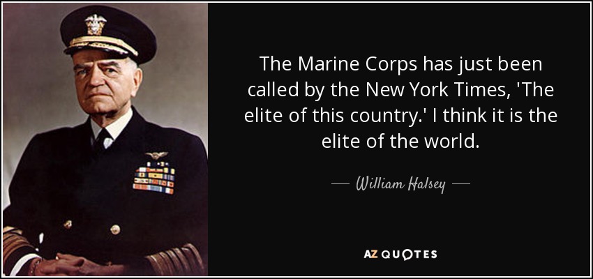 The Marine Corps has just been called by the New York Times, 'The elite of this country.' I think it is the elite of the world. - William Halsey