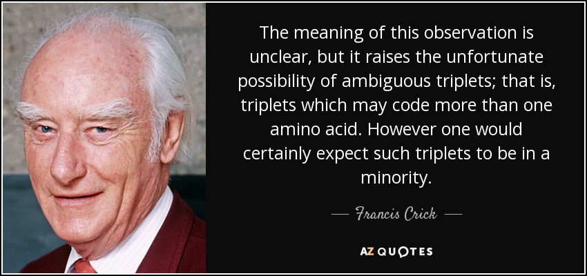 The meaning of this observation is unclear, but it raises the unfortunate possibility of ambiguous triplets; that is, triplets which may code more than one amino acid. However one would certainly expect such triplets to be in a minority. - Francis Crick