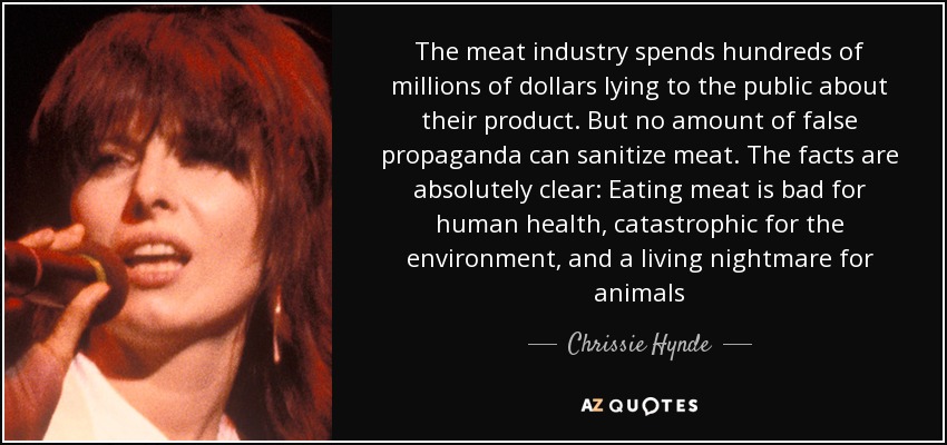 TOP 25 QUOTES BY CHRISSIE HYNDE (of 72) | A-Z Quotes