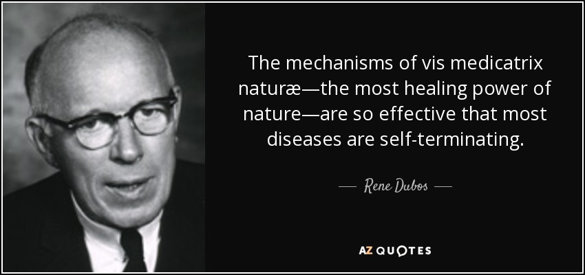 The mechanisms of vis medicatrix naturæ—the most healing power of nature—are so effective that most diseases are self-terminating. - Rene Dubos
