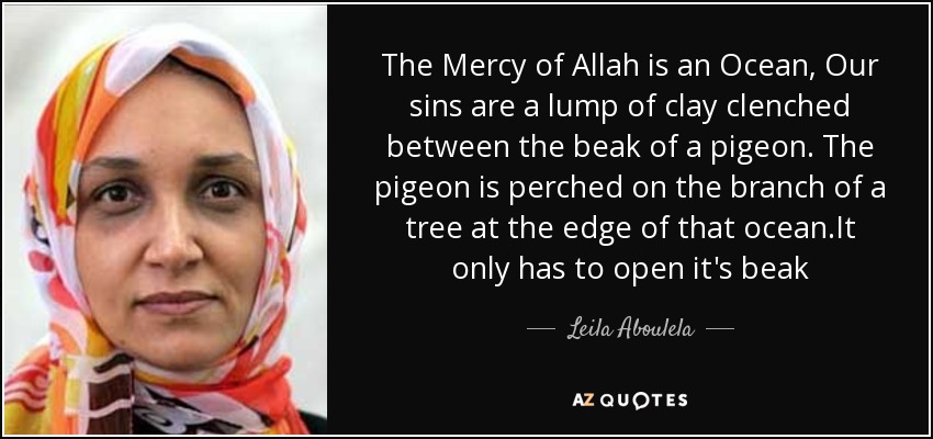 The Mercy of Allah is an Ocean, Our sins are a lump of clay clenched between the beak of a pigeon. The pigeon is perched on the branch of a tree at the edge of that ocean.It only has to open it's beak - Leila Aboulela