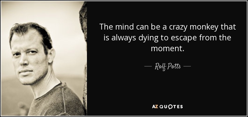 The mind can be a crazy monkey that is always dying to escape from the moment. - Rolf Potts