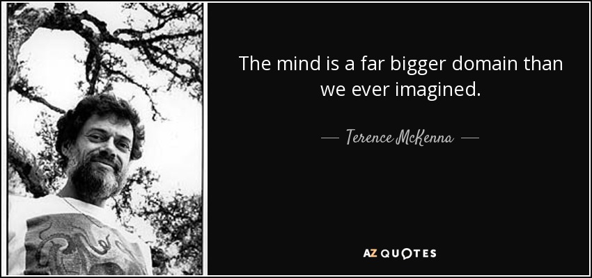 The mind is a far bigger domain than we ever imagined. - Terence McKenna