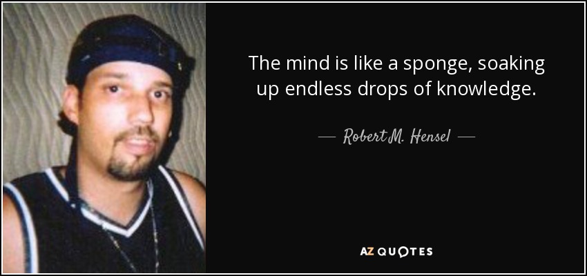 The mind is like a sponge, soaking up endless drops of knowledge. - Robert M. Hensel