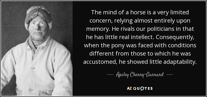 The mind of a horse is a very limited concern, relying almost entirely upon memory. He rivals our politicians in that he has little real intellect. Consequently, when the pony was faced with conditions different from those to which he was accustomed, he showed little adaptability. - Apsley Cherry-Garrard