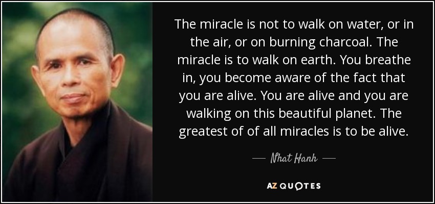 The miracle is not to walk on water, or in the air, or on burning charcoal. The miracle is to walk on earth. You breathe in, you become aware of the fact that you are alive. You are alive and you are walking on this beautiful planet. The greatest of of all miracles is to be alive. - Nhat Hanh