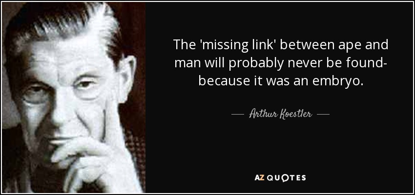 The 'missing link' between ape and man will probably never be found- because it was an embryo. - Arthur Koestler