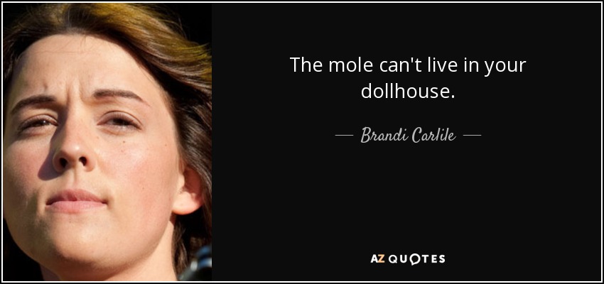 The mole can't live in your dollhouse. - Brandi Carlile