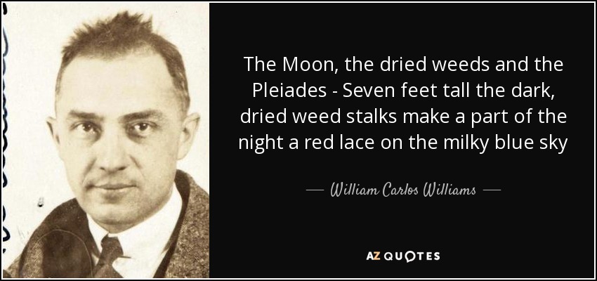 The Moon, the dried weeds and the Pleiades - Seven feet tall the dark, dried weed stalks make a part of the night a red lace on the milky blue sky - William Carlos Williams