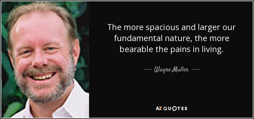 The more spacious and larger our fundamental nature, the more bearable the pains in living. - Wayne Muller