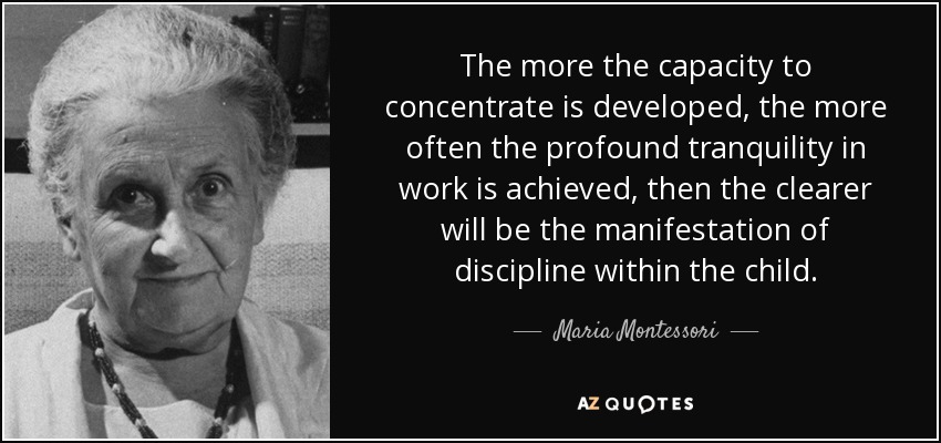 The more the capacity to concentrate is developed, the more often the profound tranquility in work is achieved, then the clearer will be the manifestation of discipline within the child. - Maria Montessori